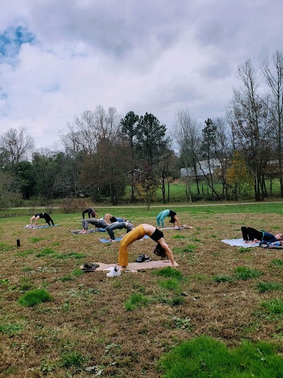 Yoga in the Park Asheville