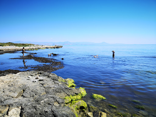 Platja per a gossos Santa Pola - Thumbnail