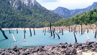 Photos of CAMPING LAS VERTIENTES