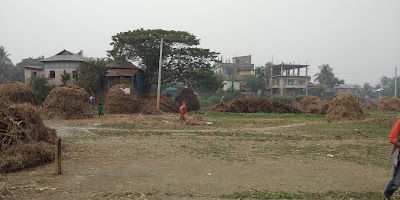 Photos of Kumli vita কুমলী ভিটা