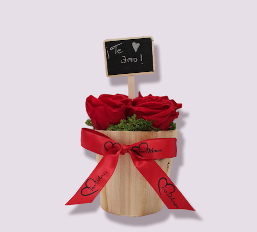 Toc D'amor - Visual
