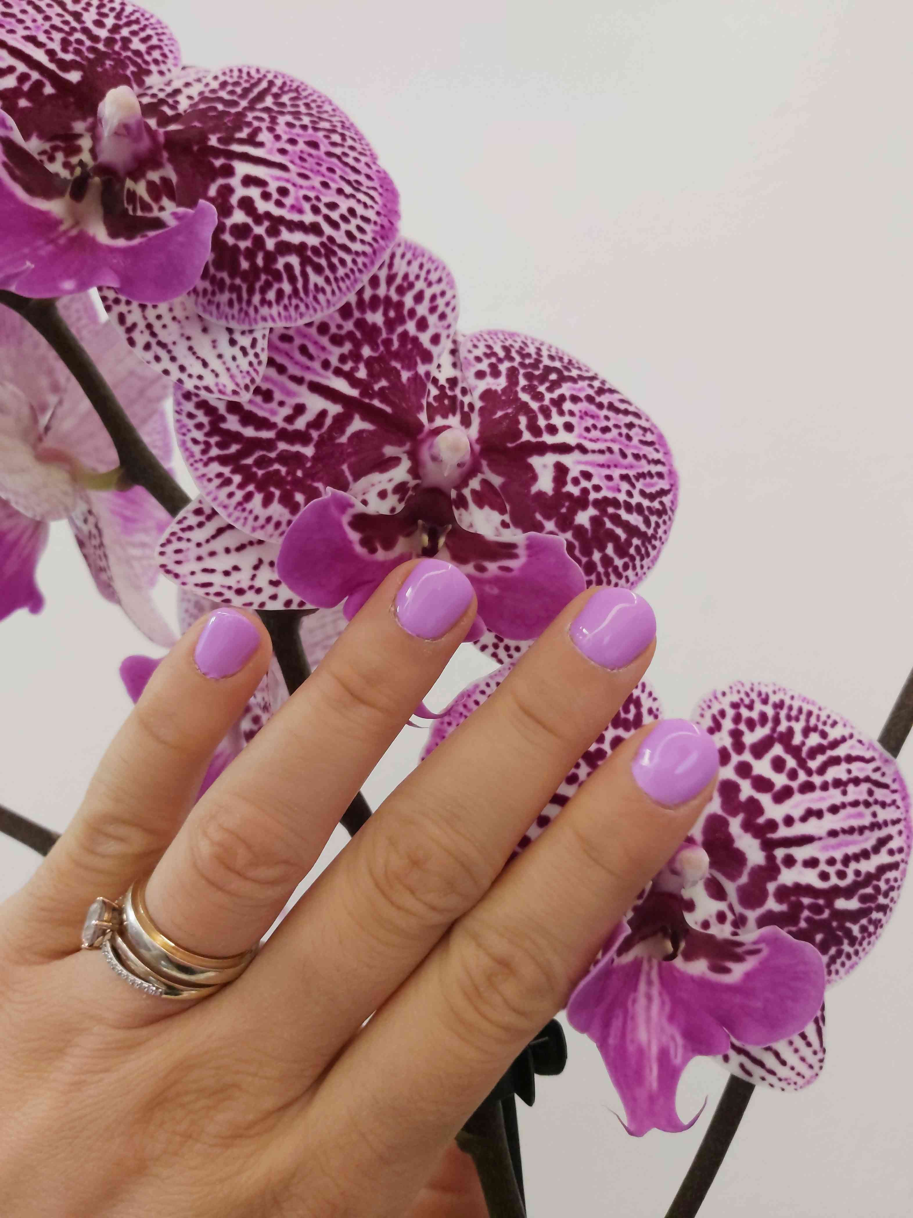 Ale Make-Up -Studio Centro estetico/ estetica avanzata & estetica di base 15