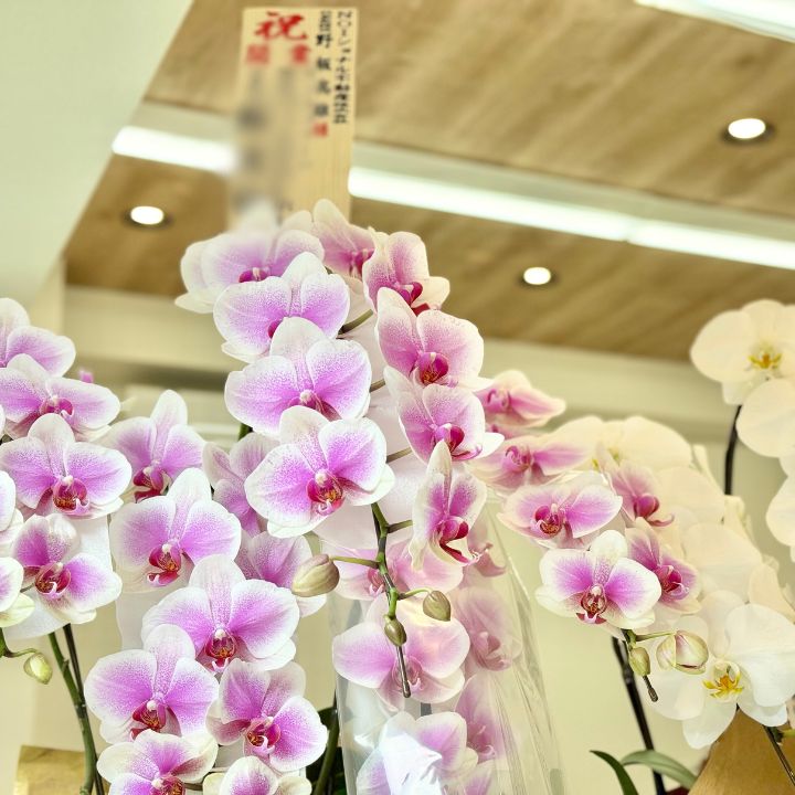 NOIショナル不動産株式会社