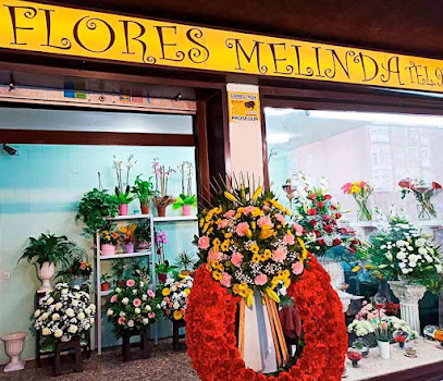 Flores Melinda S.L.
