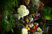 Luonka（ルオンカ）大岡山の花屋