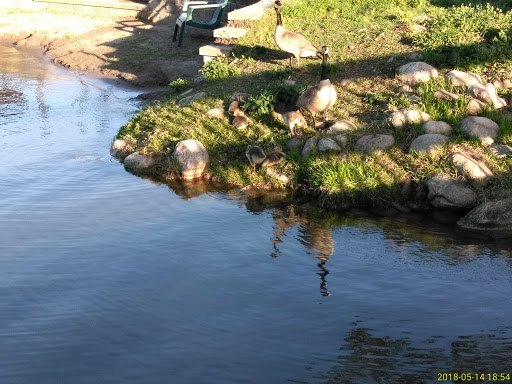 Liberty Lake Boat Launch - Thumbnail