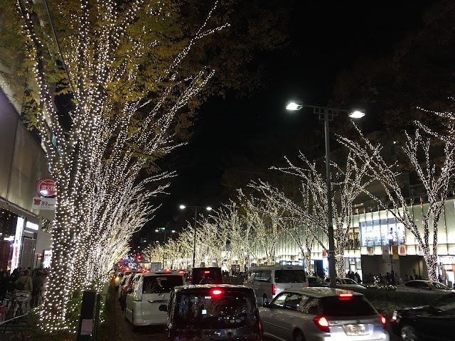 CELINE TOKYO OMOTESANDO MEN & WOMEN