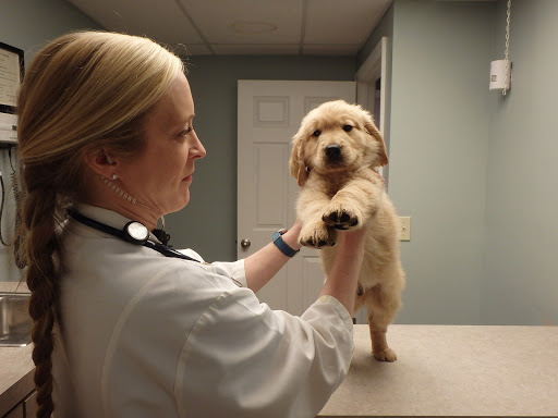 VCA Murphy Road Animal Hospital - Thumbnail