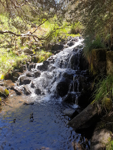 Carmichael Falls - Visual