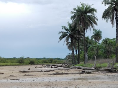 Photos of Tumani Tenda Camp