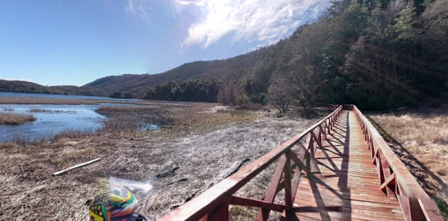 Opiniones de Parque Nacional Tolhuaca en Curacautín - Camping