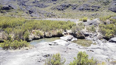 Photos of Chirrip&oacute; National Park