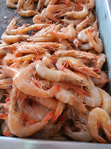 Perlas del Mar - Thumbnail