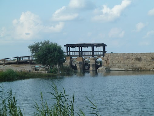 נחל תנינים - Taninim Nature Reserve, Author: Oren Natan