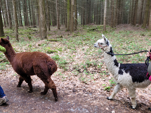 Spessart Blick - Thumbnail