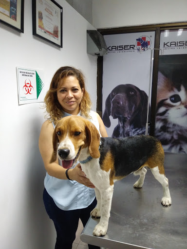 Kaiser Hospital Veterinario - Thumbnail
