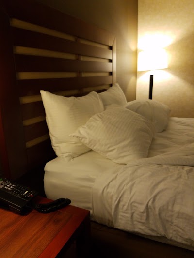 Photos of Wyndham Garden Grand Rapids Airport