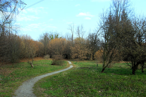 Bosco del Biulè - Thumbnail