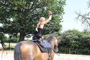 Photo n°3 de Ferme équestre du Grand Épinay à Yèvres (Hôtel bien-être)