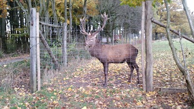 Photos of Bilsteintal: Tropfsteinh&ouml;hle und Wildpark in Warstein