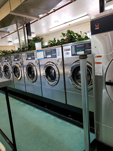 Big Wash Laundomat Logo
