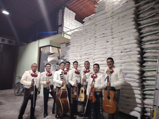 Mariachi Imperial América de San Cosme Xaloztoc, Apizaco, Huamantla y Tlaxcala