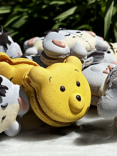 Sugar Cat Macaron Baking Studio (work with pre-orders) - Thumbnail