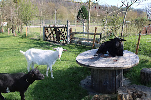 Photo n°7 de Camping Le Casties - Camping 3 étoiles - Bar - Snack - Location de chalets et mobile-homes près de Toulouse à Casties-Labrande (Bureau de tabac)