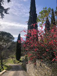 Photo n°11 de Sòmis à Saint-Ambroix (Lieu de mariage)