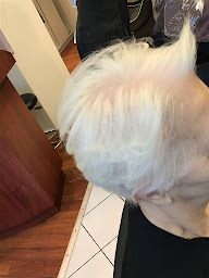 Photo n°11 de NM Modish - Coiffeur Paris 9 à Paris (Salon de coiffure)