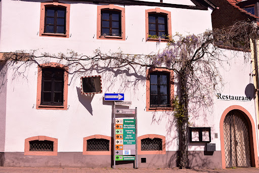 Tourist-Information Wachenheim - Thumbnail