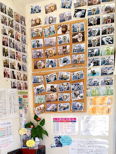 なごや動物医院