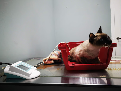 Centro Veterinario La Granja - Thumbnail