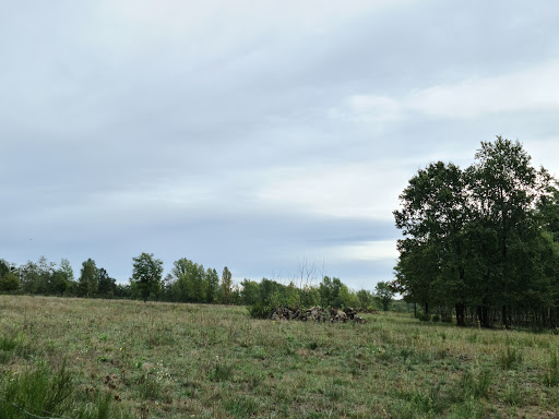 Sielmann Nature Park Döberitz Heath - Thumbnail