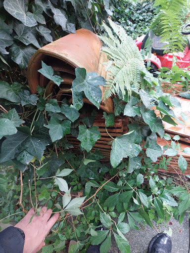 EB Entrümpelung Braunschweig | Wohnungsauflösung & Haushaltsauflösung