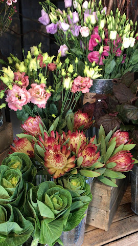 Vinetta Flower Gallery by null