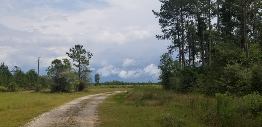 Masterson State Forest - Visual