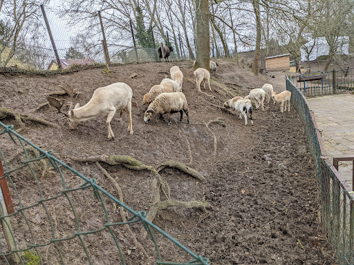 Goldberg Zoo - Thumbnail