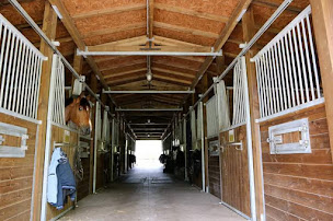 Photo n°6 de Ecuries des pleignes - pouliquen à La Genevraye (Écurie)