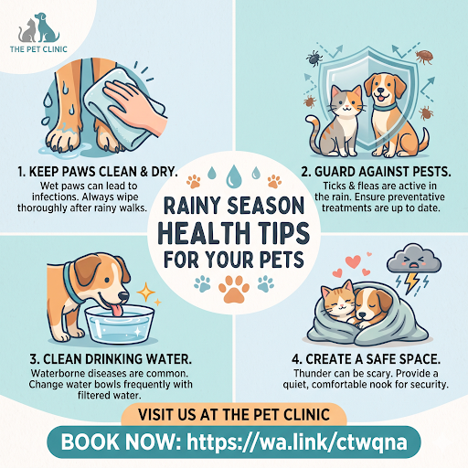 Keep Your Pets Safe and Healthy This Rainy Season! 🌧️🐾 post image