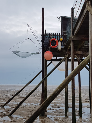 Plage et reserve ornithologique - Thumbnail
