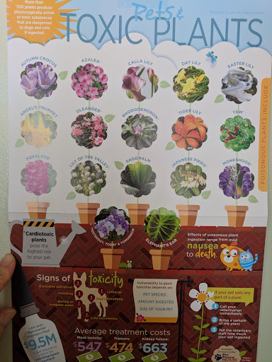 Alhambra Animal Hospital: Heidi Henstra & Christine Carrillo, DVM - Thumbnail