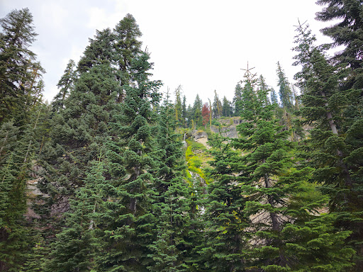 Vidae Falls - Thumbnail