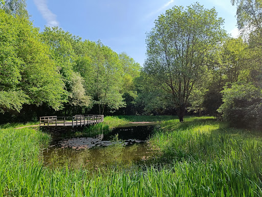 Meikamerbos