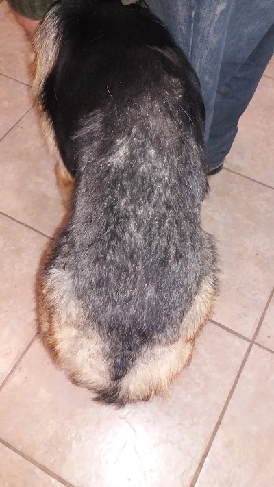 Photos of Centro Veterinario Buin