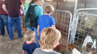 Photos of Old McDonald's Farm