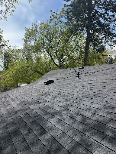 Ray's rooftop moss removal - Thumbnail