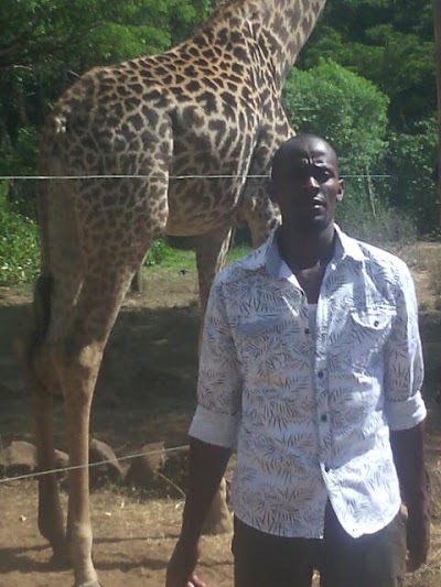 Photos of Impala Park Ostrich Pen