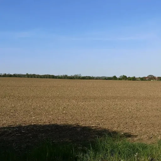 Friedhof Oschersleben (Bode) - Thumbnail