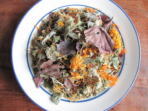 Photo n°8 de Feuilles, Fruits et Compagnie à Saint-Hilaire-de-Chaléons (Ferme bio)